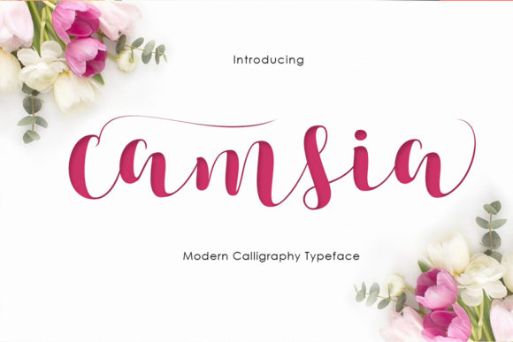 Camsia Font: Elevating Brand Identity with Handwritten Style