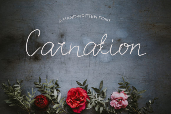 Carnation Font: A Web Designer’s Review