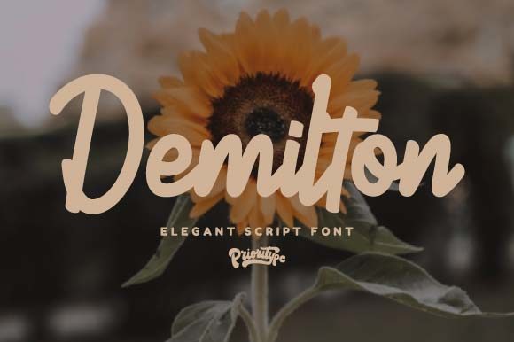 Demilton: A Handwritten Font for Branding