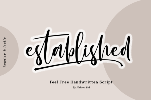 Established: A Designer’s Honest Review for Branding