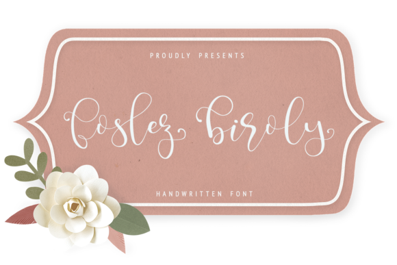 Foslez Biroly: A Designer’s Honest Review