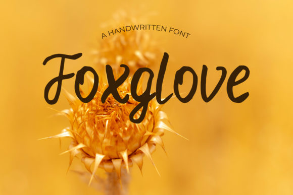 Foxglove: A Designer’s Honest Review