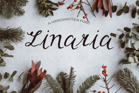 Linaria Font Review for Web Design