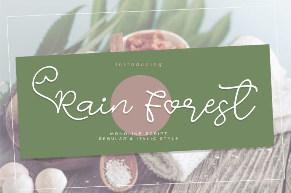 Rain Forest Font for Web Designers