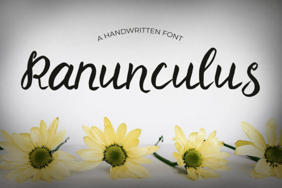 Ranunculus Font: Elevating Web Design with Handwritten Elegance