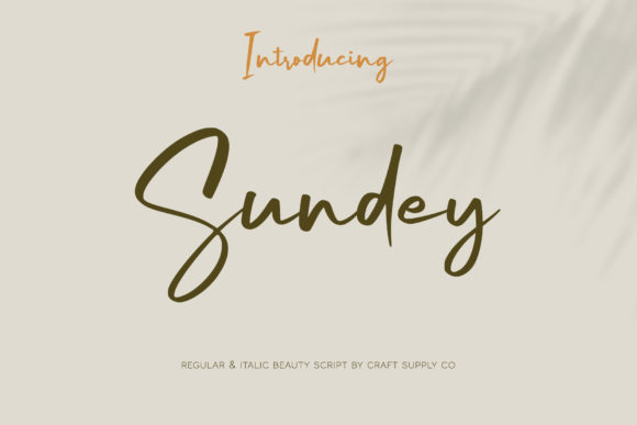 Sundey Font Review: Elevate Your Campaign Visuals